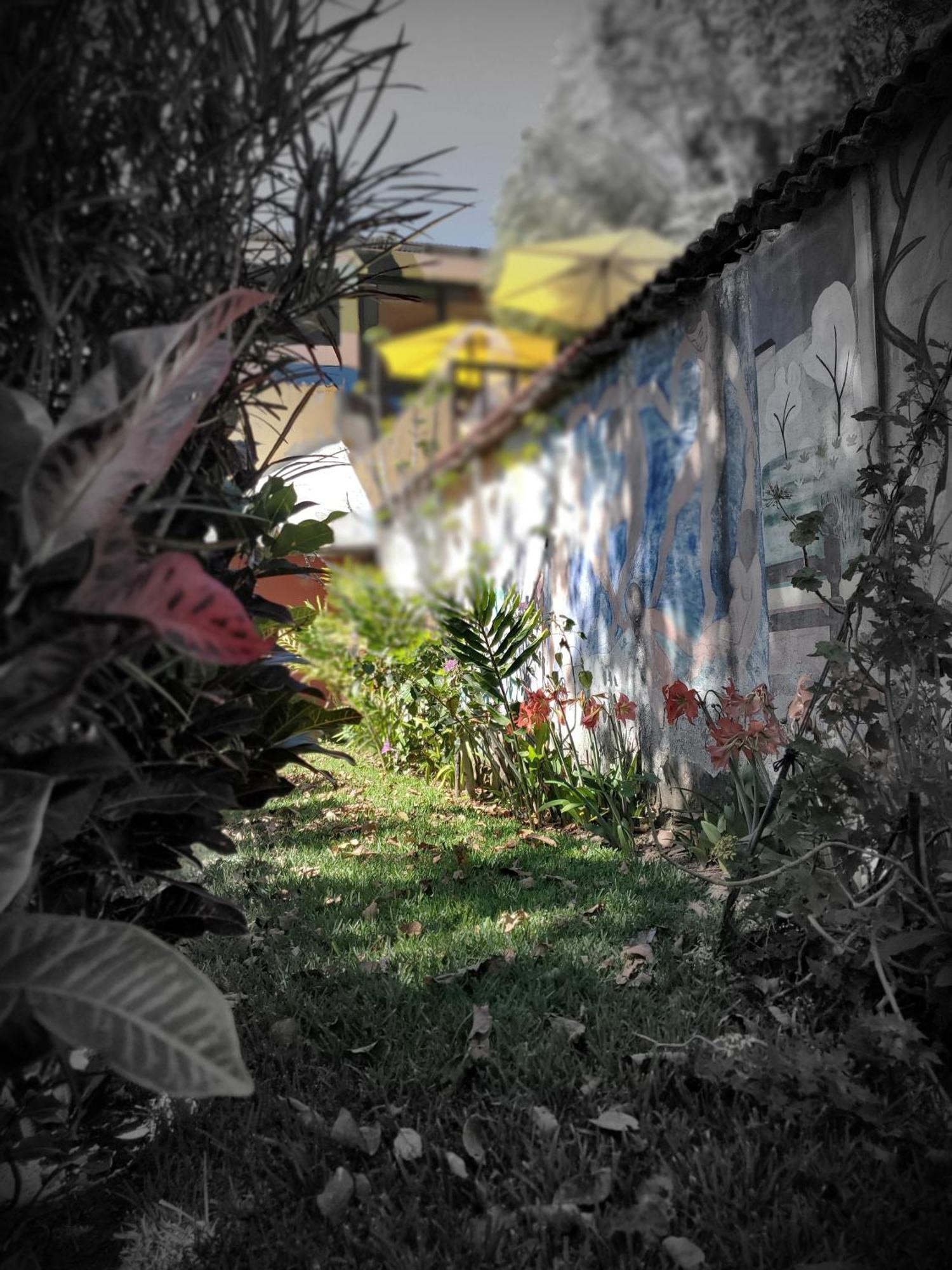 Art & Coffee Hotel Santa Cruz La Laguna Luaran gambar