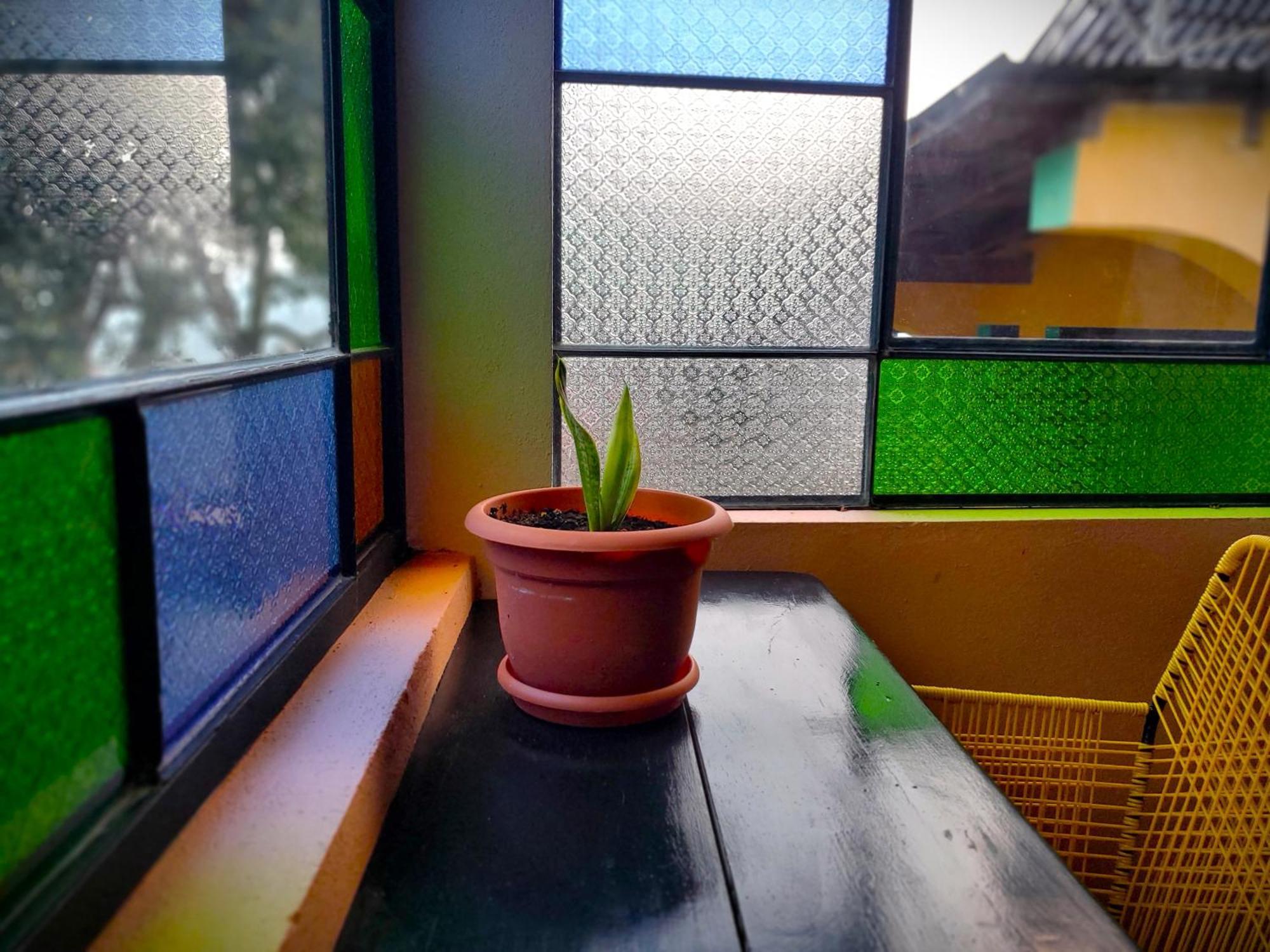 Art & Coffee Hotel Santa Cruz La Laguna Luaran gambar